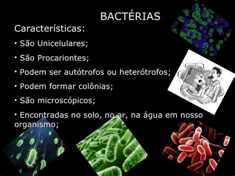 Bactérias 7º Ano