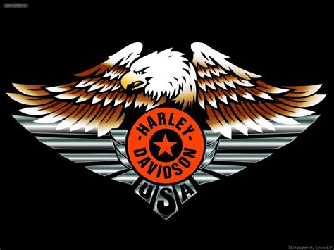 See more ideas about harley davidson logo, harley davidson, harley. Harley-Davidson Logo Wallpapers - Wallpaper Cave