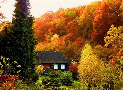 Campground, cabin & cottage rentals; Fall Cabin, cozy fall retreat | Samhain | Pinterest ...