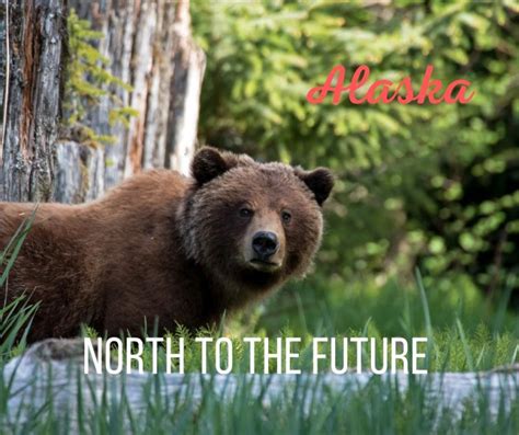 Alaska State Motto North To The Future 50states