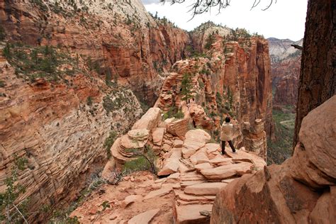 Update Hiker Who Died After Fall In Zion National Park Identified Gephardt Daily