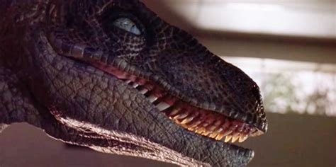 ¿cómo Eran En Realidad Los Velociraptor De Jurassic Park Noticias