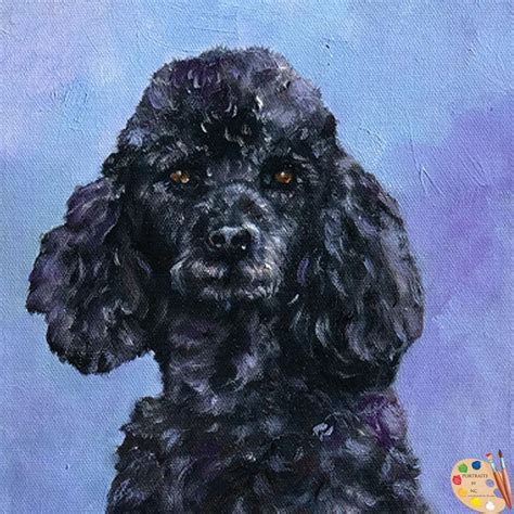 Black Poodle Dog Oil Portrait Poodle Dog Poodle Drawing Poodle Puppy