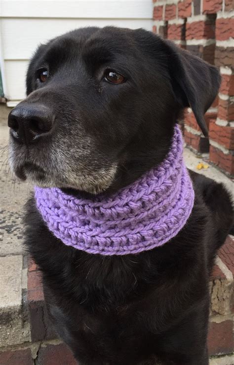 The Lavender Love Dog Scarf Purple Dog Scarf Dog Scarf Infinity Dog