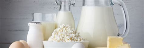 Dairy Sources For The Lactose Intolerant Joy Bauer