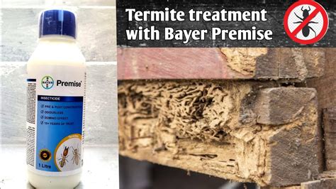 Best Chemical For Termite Treatment Bayer Crop Science India Youtube