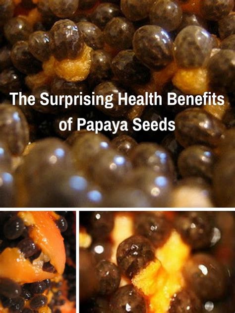 Papaya Seeds Health Benefits And Uses Including For Parasitic Worms