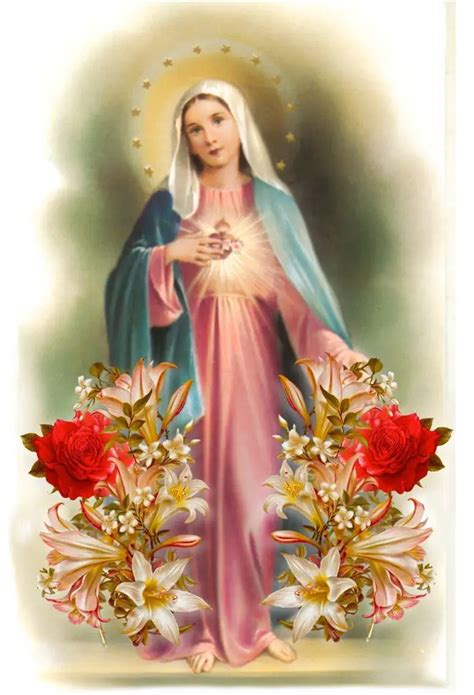 Collection Of La Virgen Maria Con Rosas Im 225 Genes De La Virgen Mar