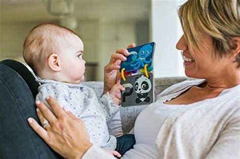 Baby Einstein A To Z Curiosity Cards Flash Cards Newborn Pricepulse