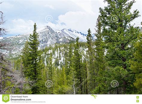 Rocky Mountains In The Springtime Stock Image Image Of Panorama