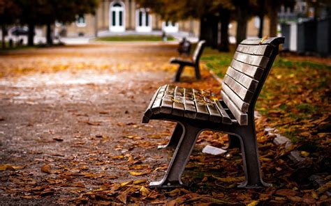 Bench Autumn Wallpapers Wallpaper Cave