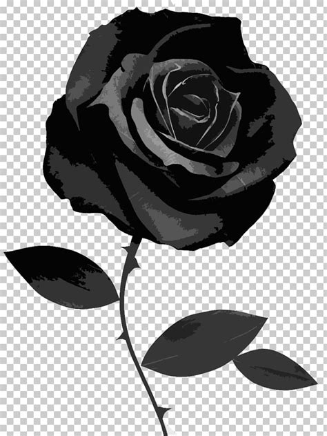 Clipart Black Rose 10 Free Cliparts Download Images On Clipground 2024