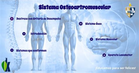 Sistema Osteoartromuscular