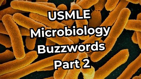 Usmle Step 1 Microbiology Buzzwords Part 2 Youtube