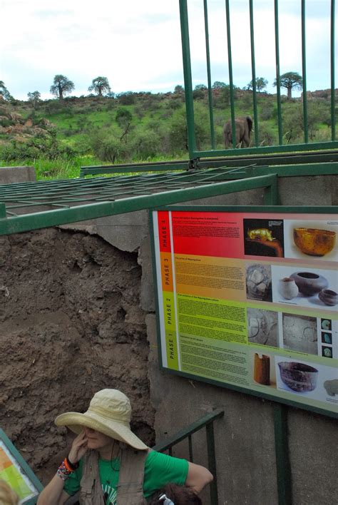 The Great Wildebeest Migration The Lost City Of Mapungubwe