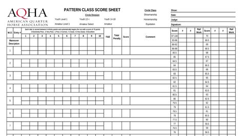 Gohorseshow Understanding The New Scoring System In Pattern Classes