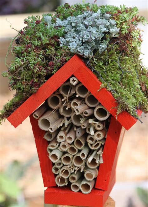Bees are brilliant fun to watch buzzing around the garden and they are important pollinators of one way to increase the comfort of your patch for insects is to build them an insect hotel using natural materials. Make a Lady Bug Hotel | HGTV