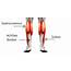 Physiotherapy For Calf And Heel Pain  Glebe Physio