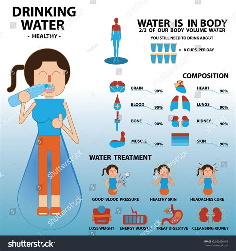 Benefits Drinking Water Illustration Vector Stock Vector Royalty Free