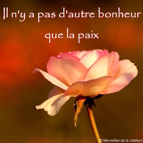 Il Ny A Pas Dautre Bonheur Que La Paix Bonheur Positive Attitude