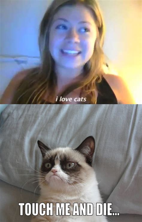 touch me and die grumpy cat know your meme