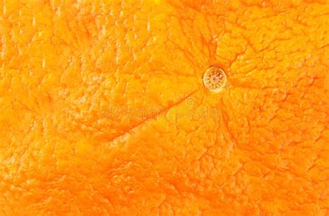 Close Up Of Orange Peel Stock Image Image Of Refreshment 18223505