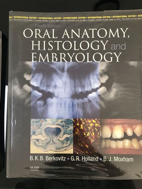 Oral Anatomy Histology And Embryology 4th Edition Hobbies Toys