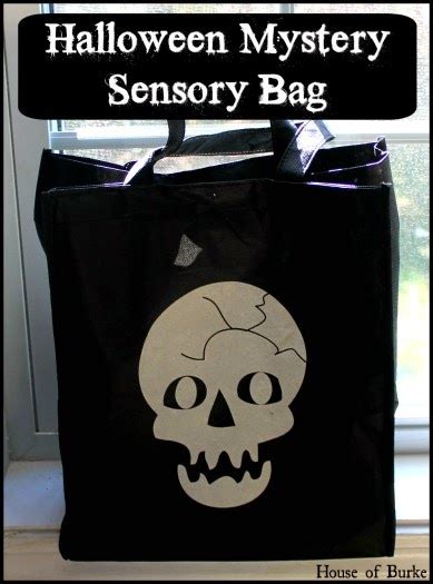 House Of Burke Halloween Mystery Sensory Bag
