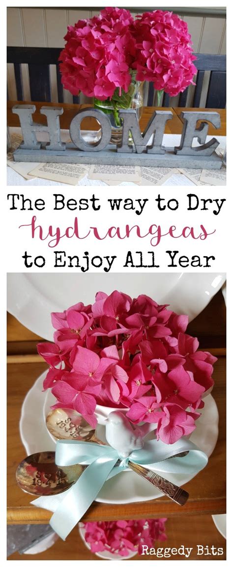Best Way To Dry Hydrangeas To Enjoy All Year Round