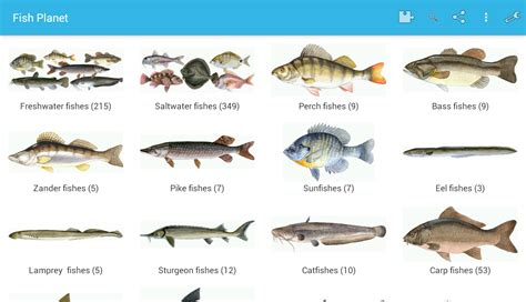 We did not find results for: Fish Planet - Android Apps on Google Play