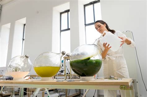 New 3d Printed Algae Could Revolutionize The Way We Make Things Algae