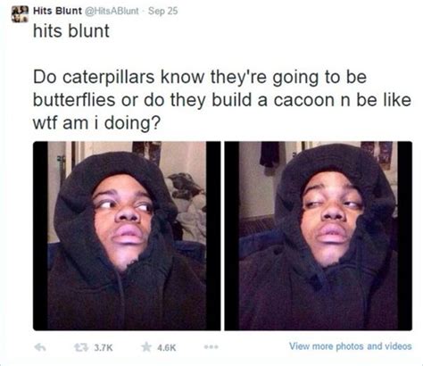 The Best Of Stoner Thoughts 12 Pics