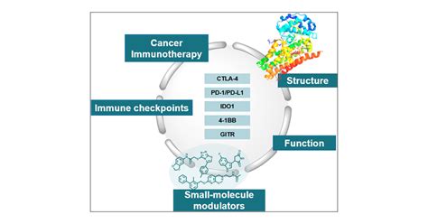 structure function analysis of immune checkpoint receptors to guide emerging anticancer