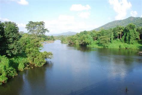 Chalakudy River In Thrissur Kerala Keralaorbit