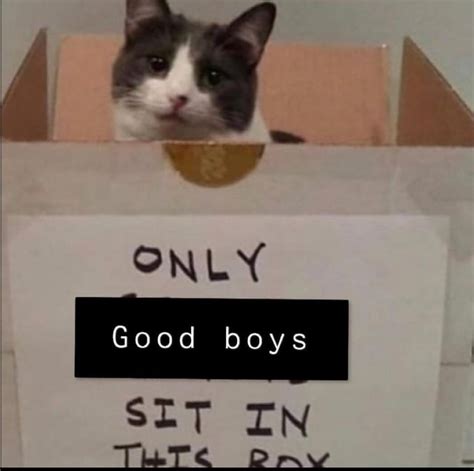 Get In The Box Rgentlefemdom