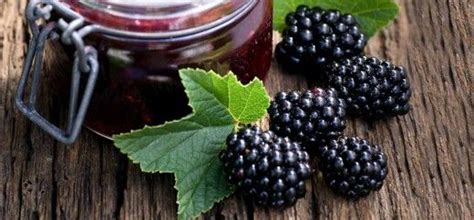 Blackberry is commonly eaten in india as out of india. Bonkers Over Blackberries: Benefits, Tips, And Trivia ...