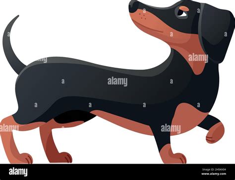 Dachshund Curled His Paw Dachsand Pose Cartoon Dog Flat Icon Vector