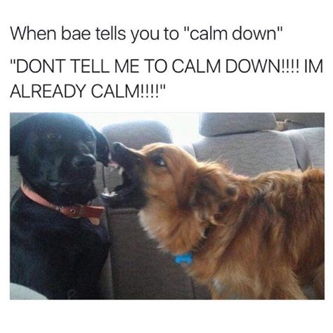 When Bae Tells You To Calm Down Don T Tell Me To Calm Down I M Already Calm Funny