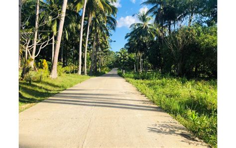 Land For Sale In Cortes Bohol Bl Realty And Brokerage