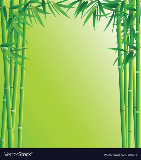 Bamboo Forest Royalty Free Vector Image VectorStock
