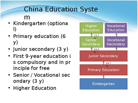 Education System In China презентация доклад проект
