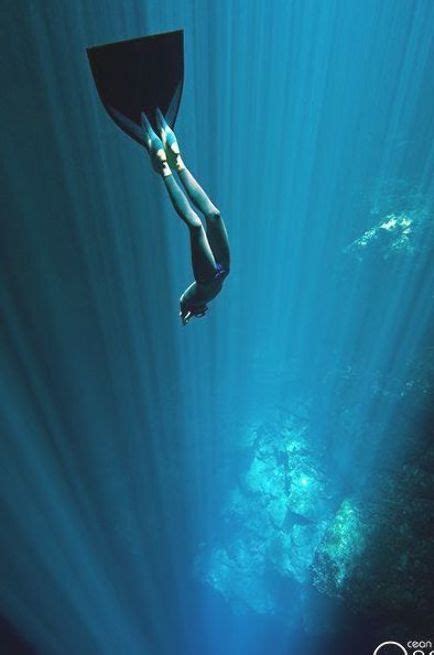Freediving Dans Les Cenotes Du Yucatan 10 Freediving Dans Les Cénotes