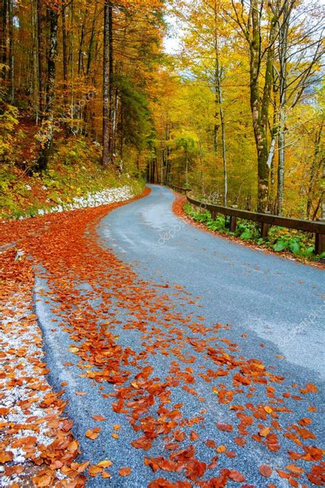 Winding Forest Road In Beautiful Autumn Colors Near Bohinj Lake — Stock