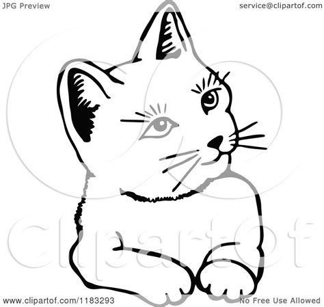 Vector of a cat on white background. Clipart of a Black and White Cat 2 - Royalty Free Vector ...