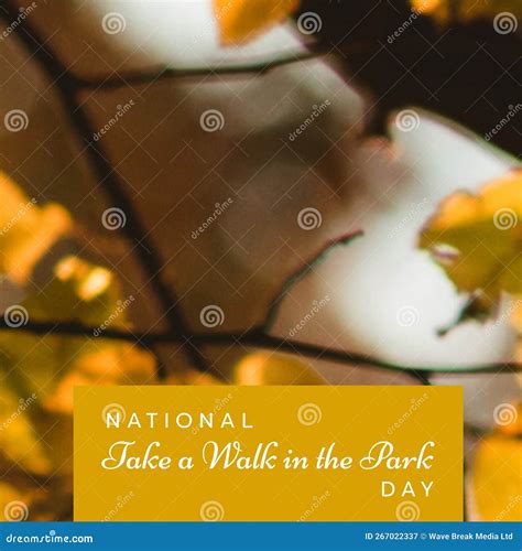 Composition Of National Take A Walk In The Park Day Text Over Branch