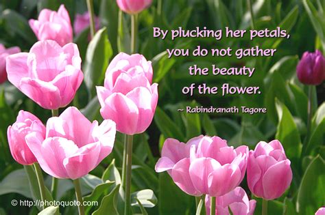 Famous Quotes About Tulips Quotesgram