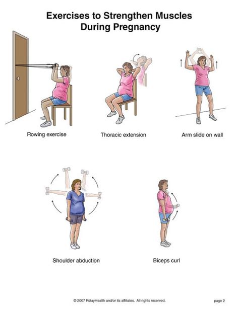 Back Strengthening Exercises Back Strengthening Exercises After Pregnancy