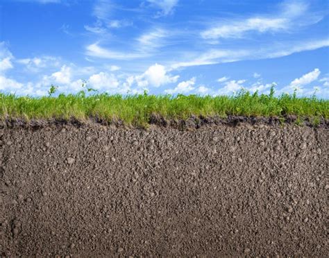 Soil Ground Grass And Sky Nature Background Stock Image Image Of