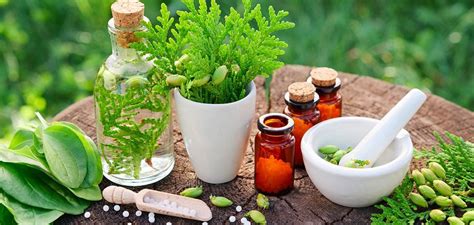 Herbal Supplements Market To Hit Usd Bn By Future Market