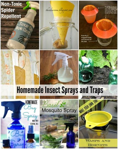 Homemade Insect Sprays And Traps That Actually Work Home And Garden